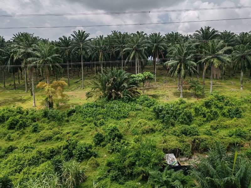Rumah Flat untuk Dijual di Merak - Melinda Ee - Exterior - PropertyGuru.com.my
