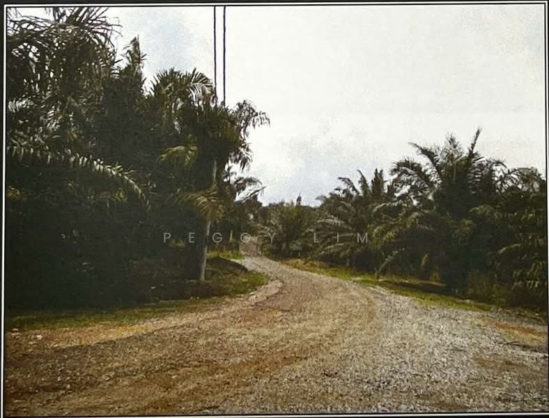 Agricultural Land for Sale in Raub (Pahang) - Peggy Lim - PropertyGuru.com.my