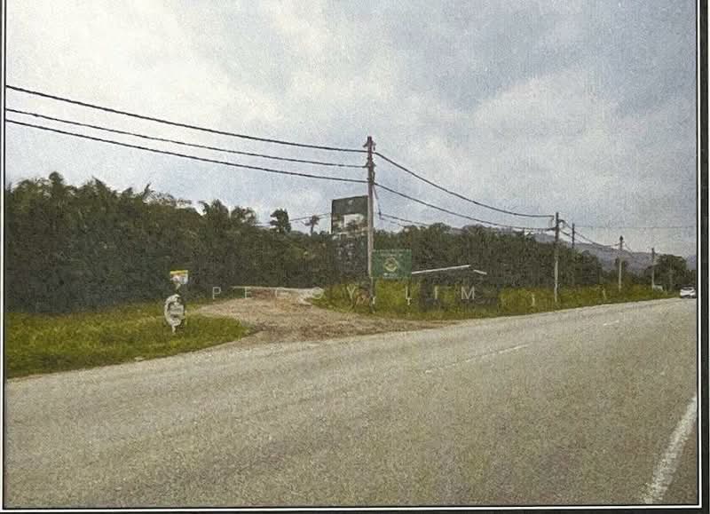 Agricultural Land for Sale in Raub (Pahang) - Peggy Lim - PropertyGuru.com.my