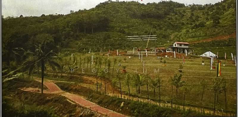 Agricultural Land for Sale in Raub (Pahang) - Peggy Lim - PropertyGuru.com.my