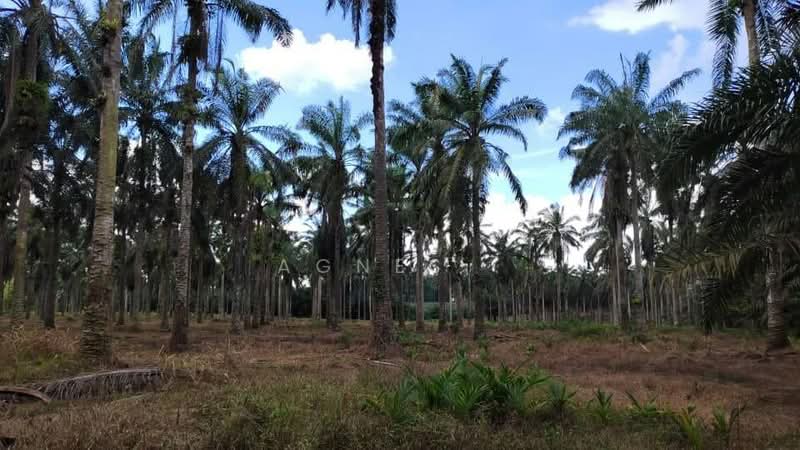 Untuk Dijual - Kulai