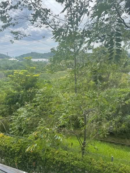 Semi-Detached House for Rent in Petaling Jaya (Selangor) - Loh Yoke Yin - PropertyGuru.com.my