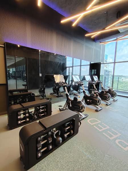 Condominium for Rent at Allevia - Chris Tee - Gym - PropertyGuru.com.my