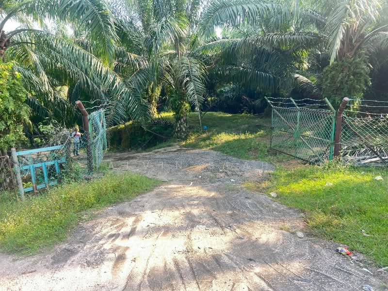 Tanah Pertanian untuk Dijual di Kampung Kuala Sawah (Rantau) - Alvin Seah - Exterior - PropertyGuru.com.my