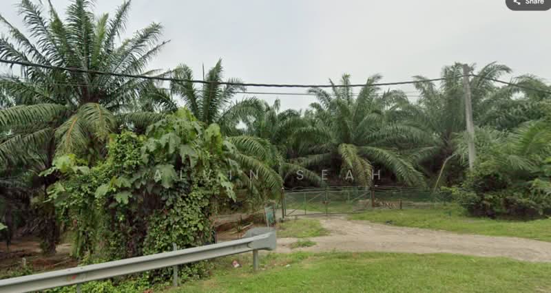 Tanah Pertanian untuk Dijual di Kampung Kuala Sawah (Rantau) - Alvin Seah - Exterior - PropertyGuru.com.my