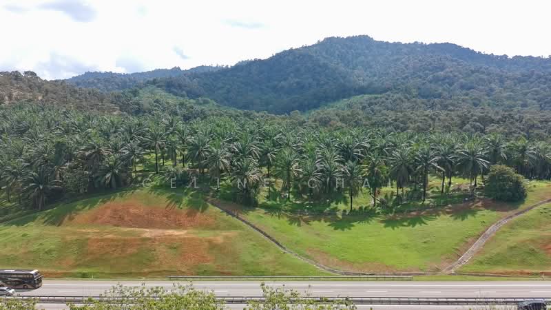 Tanah Pertanian untuk Dijual di Parit Sulong (Batu Pahat) - Celine Chai - Exterior - PropertyGuru.com.my