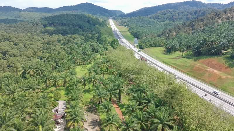 Tanah Pertanian untuk Dijual di Parit Sulong (Batu Pahat) - Celine Chai - Exterior - PropertyGuru.com.my