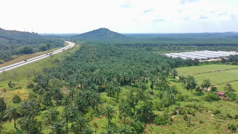 Tanah Pertanian untuk Dijual di Parit Sulong (Batu Pahat) - Celine Chai - Exterior - PropertyGuru.com.my