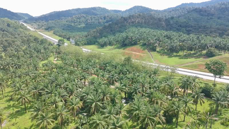 Tanah Pertanian untuk Dijual di Parit Sulong (Batu Pahat) - Celine Chai - PropertyGuru.com.my