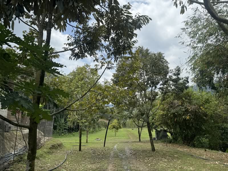 Agricultural Land for Sale in Tangkak (Johor) - Vivian Chye - PropertyGuru.com.my