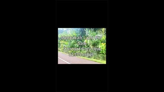 Agricultural Land for Sale in Taman Bukit Cermin (Mentakab) - Amy Lew - PropertyGuru.com.my