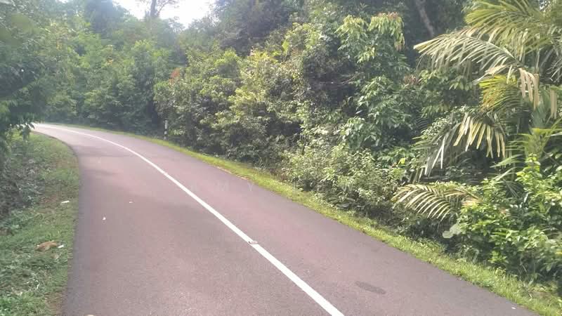 Agricultural Land for Sale in Taman Bukit Cermin (Mentakab) - Amy Lew - Exterior - PropertyGuru.com.my
