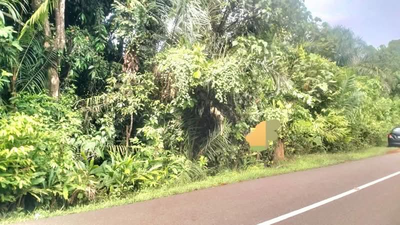 Agricultural Land for Sale in Taman Bukit Cermin (Mentakab) - Amy Lew - Exterior - PropertyGuru.com.my