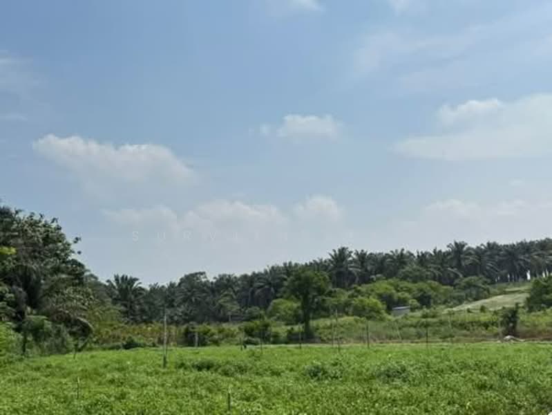 Other Property for Sale in Senai (Kulai) - Surviene Lee - Exterior - PropertyGuru.com.my