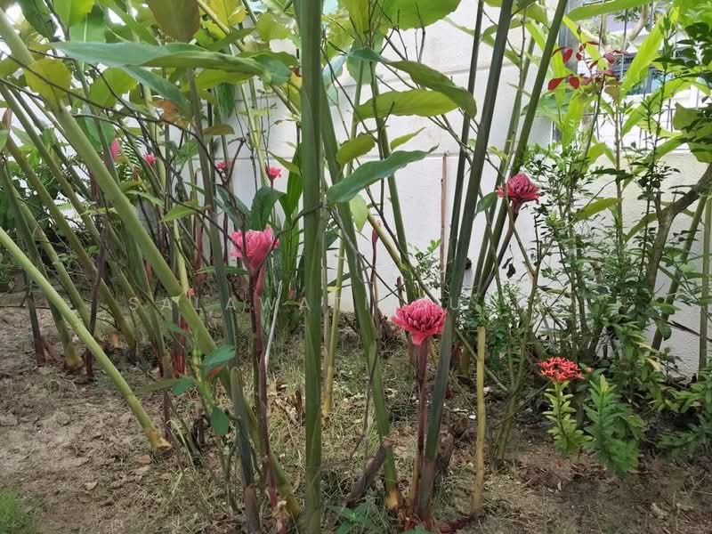 Rumah Teres 3 Tingkat untuk Dijual di Cyberjaya (Selangor) - Salawati Busro - Garden - PropertyGuru.com.my