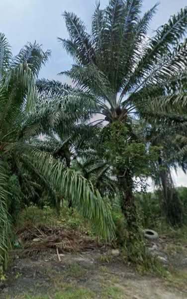Agricultural Land for Sale in Kampung Baru Mahsan (Bahau) - Sam Yee - Exterior - PropertyGuru.com.my