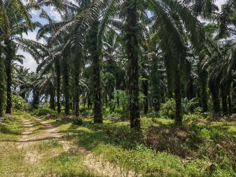 Agricultural Land for Sale in M Residence (Rawang) - Evelyn Khoo - Exterior - PropertyGuru.com.my