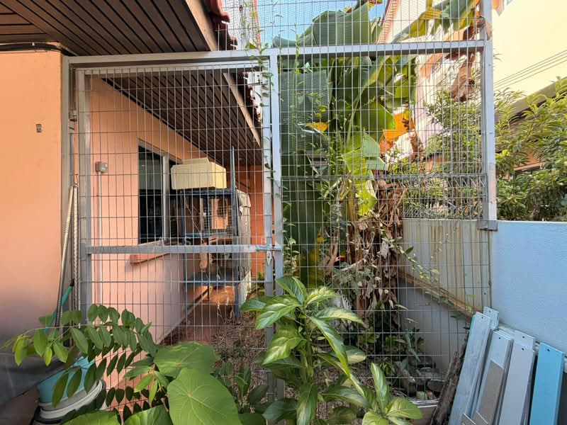 2-storey Terraced House for Sale in Tanjung Bungah (Penang) - Ashley Tan - Exterior - PropertyGuru.com.my