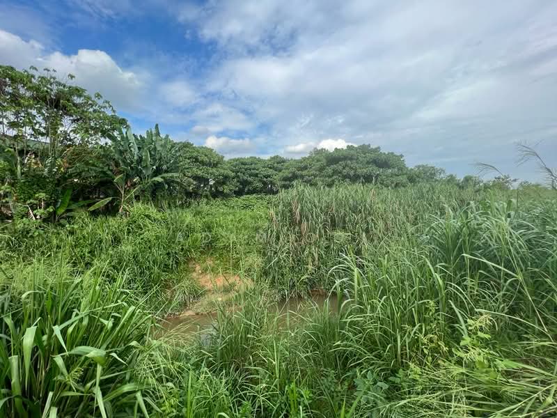Industrial Land for Sale in Semenyih (Selangor) - Adam Ooi - Garden - PropertyGuru.com.my