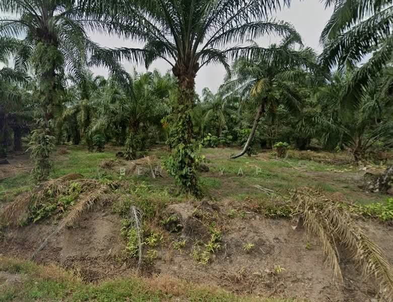 Industrial Land for Sale in Ijok (Selangor) - Belle Yap - Exterior - PropertyGuru.com.my