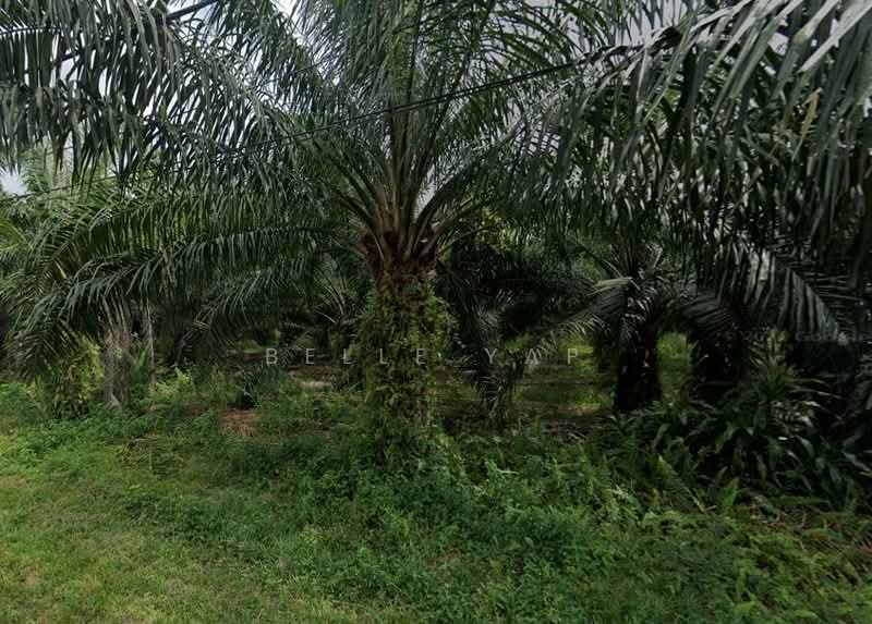Industrial Land for Sale in Ijok (Selangor) - Belle Yap - Exterior - PropertyGuru.com.my