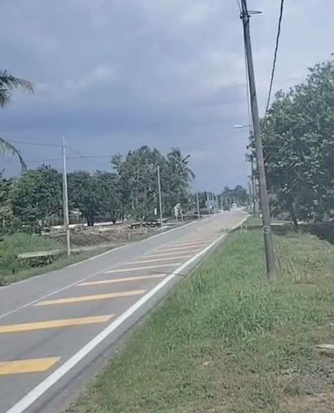 Agricultural Land for Sale in Pontian (Johor) - Joanne Yong - Exterior - PropertyGuru.com.my