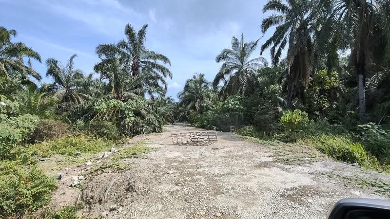 Tanah Pertanian untuk Dijual di Telok Panglima Garang (Jenjarom) - John Lee - Exterior - PropertyGuru.com.my