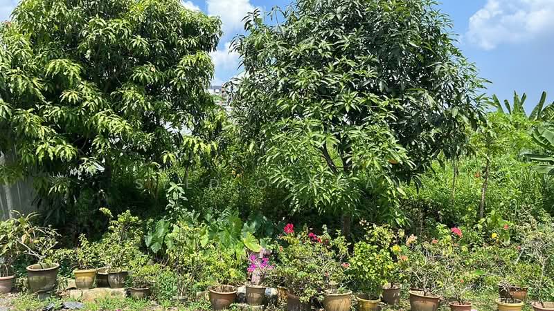 Other Property for Rent in Kampung Sri Aman (Puchong) - Syed Othman - Garden - PropertyGuru.com.my