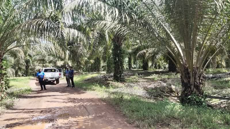 Agricultural Land for Sale in Sepang (Selangor) - Clemence Ngew - Exterior - PropertyGuru.com.my