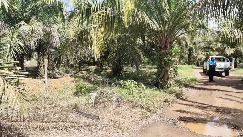 Agricultural Land for Sale in Sepang (Selangor) - Clemence Ngew - Exterior - PropertyGuru.com.my