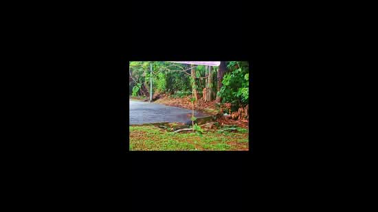 Commercial Land for Sale in Mentakab (Pahang) - Amy Lew - PropertyGuru.com.my
