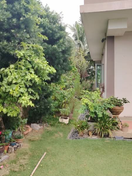 Rumah Banglo untuk Dijual di Simpang Ampat (Penang) - Kay Wong - Garden - PropertyGuru.com.my