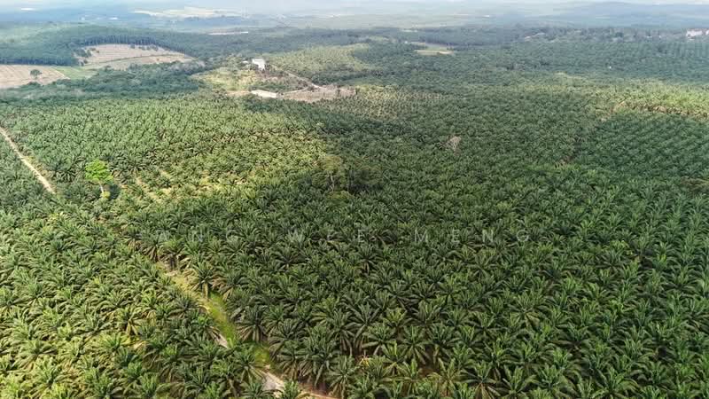 Agricultural Land for Sale in Kota Tinggi (Johor) - Ang Wee Meng - Exterior - PropertyGuru.com.my
