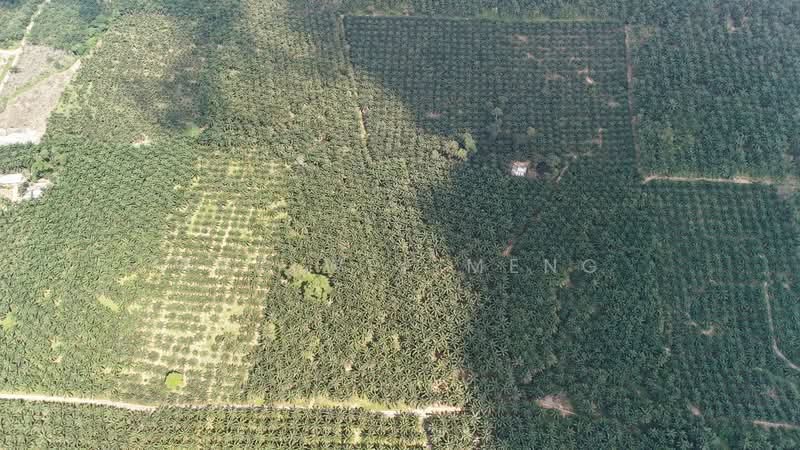 Agricultural Land for Sale in Kota Tinggi (Johor) - Ang Wee Meng - PropertyGuru.com.my
