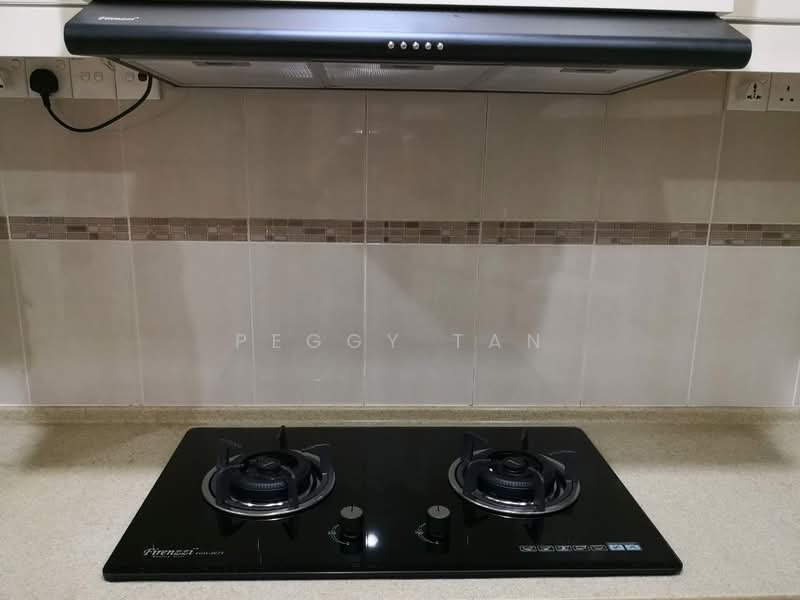 Condominium for Rent at Diamond Villa Condominium - Peggy Tan - Kitchen - PropertyGuru.com.my