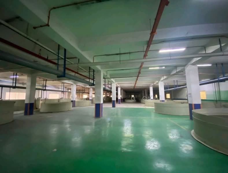 Factory for Rent in Taman Tan Sri Yaacob (Johor Bahru) - Elaine Goh - Interior - PropertyGuru.com.my