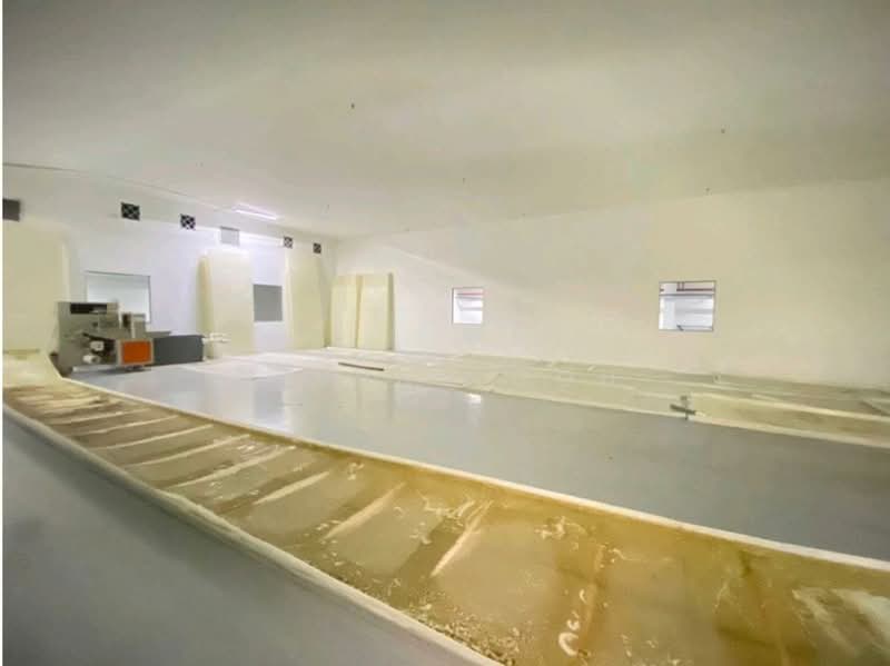 Factory for Rent in Taman Tan Sri Yaacob (Johor Bahru) - Elaine Goh - Interior - PropertyGuru.com.my