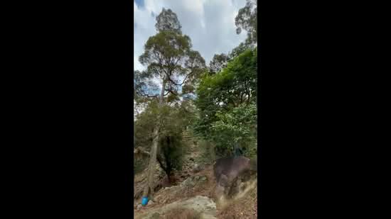 Agricultural Land for Sale in Balik Pulau (Penang) - Joyce Lee - PropertyGuru.com.my