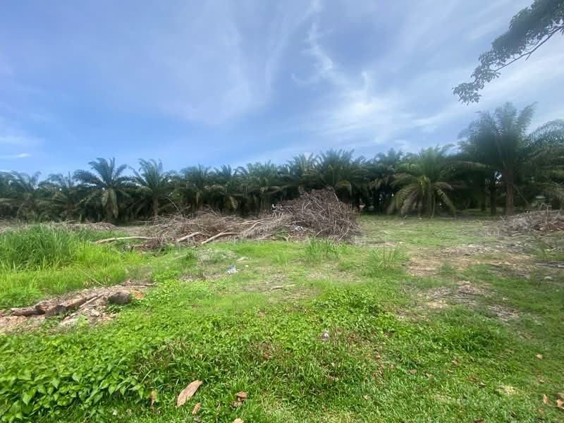 Agricultural Land for Sale in Simpang Renggam (Johor) - Ariff Azmi - Exterior - PropertyGuru.com.my