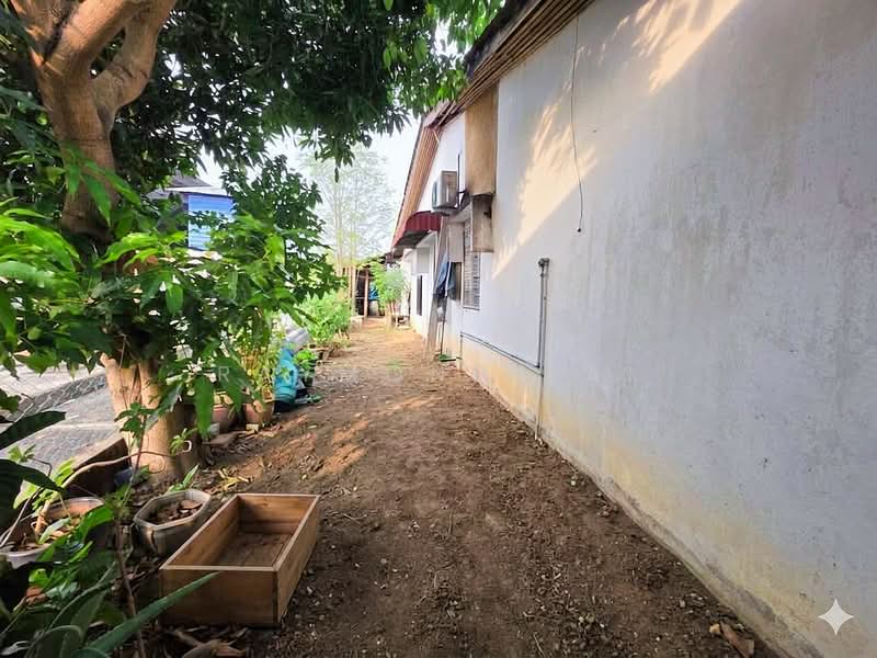 Rumah Berkembar untuk Disewa di Simpang Ampat (Penang) - Raymond Tai - PropertyGuru.com.my