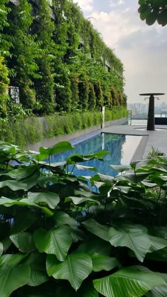 Servis Apartment untuk Dijual di Petalz Residences - HL Lau - Pool - PropertyGuru.com.my