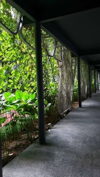 Servis Apartment untuk Dijual di Petalz Residences - HL Lau - Exterior - PropertyGuru.com.my