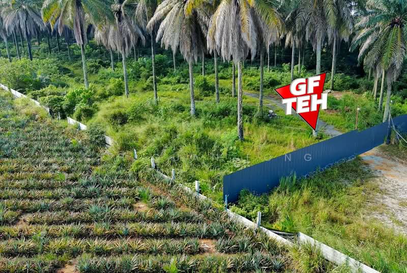 Tanah Pertanian untuk Dijual di Bukit Mertajam (Penang) - Teh Guan Fong - Exterior - PropertyGuru.com.my
