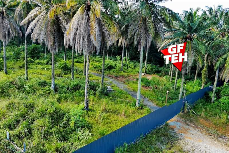 Tanah Pertanian untuk Dijual di Bukit Mertajam (Penang) - Teh Guan Fong - Exterior - PropertyGuru.com.my