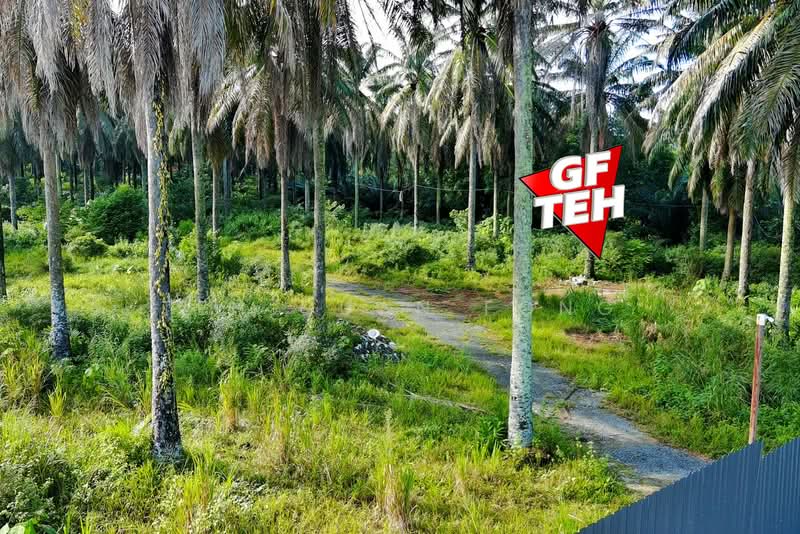 Tanah Pertanian untuk Dijual di Bukit Mertajam (Penang) - Teh Guan Fong - Exterior - PropertyGuru.com.my