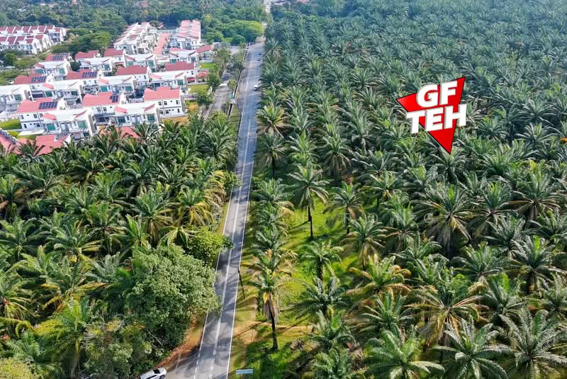 Tanah Pertanian untuk Dijual di Bukit Mertajam (Penang) - Teh Guan Fong - Exterior - PropertyGuru.com.my