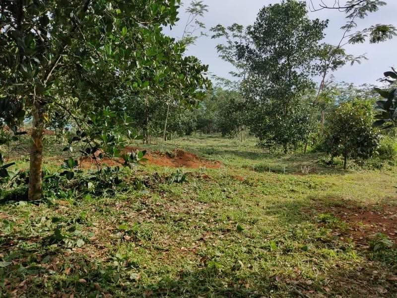 Industrial Land for Sale in Balakong (Selangor) - Soon Keng Liew - Balakong - PropertyGuru.com.my