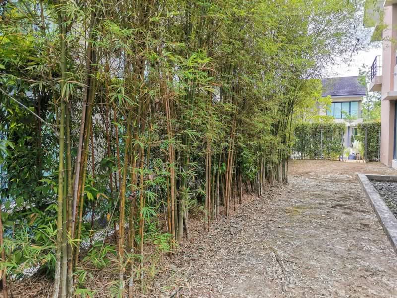 Semi-Detached House for Rent in Iskandar Puteri (Nusajaya) (Johor) - Ellen Yeap - Exterior - PropertyGuru.com.my