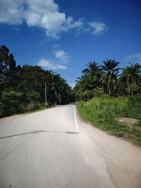 Industrial Land for Sale in Sedenak (Johor) - Rex Heng - Exterior - PropertyGuru.com.my