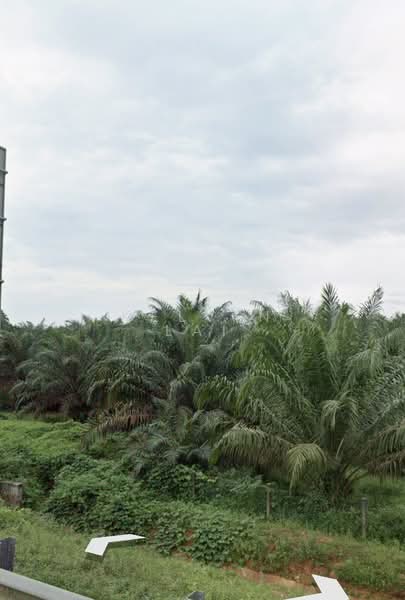 Agricultural Land for Sale in Bandar Pulai Jaya (Kulai) - Kelvin Lai - Exterior - PropertyGuru.com.my